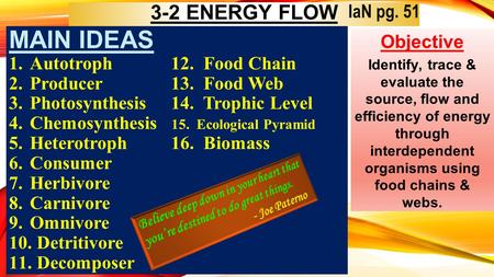 Main Ideas 3-2 ENERGY FLOW IaN pg. 51 Objective