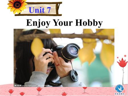 Enjoy Your Hobby Unit 7. Lesson 37 What's Your Hobby?