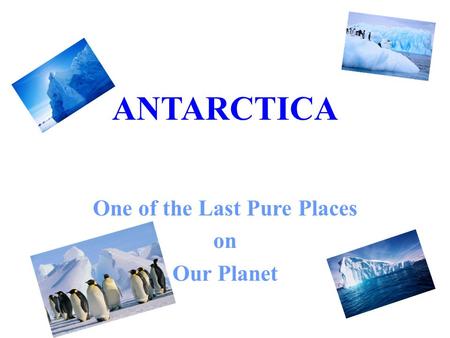 ANTARCTICA One of the Last Pure Places on Our Planet.