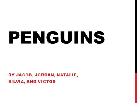 PENGUINS BY JACOB, JORDAN, NATALIE, SILVIA, AND VICTOR.