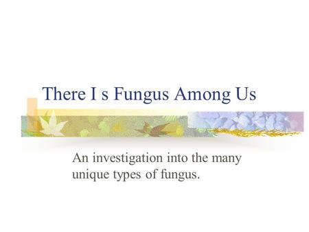 There I s Fungus Among Us An investigation into the many unique types of fungus.