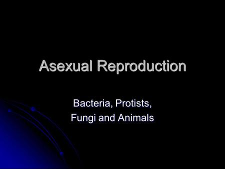 Bacteria, Protists, Fungi and Animals