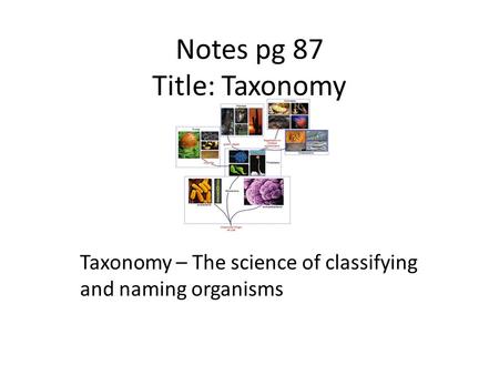 Notes pg 87 Title: Taxonomy