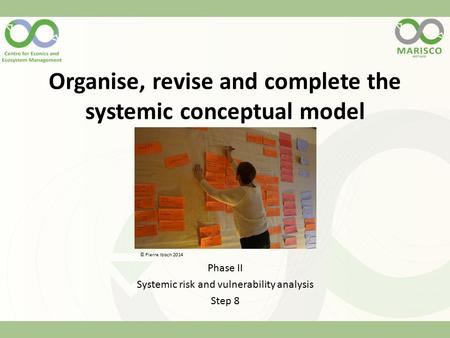 Organise, revise and complete the systemic conceptual model Phase II Systemic risk and vulnerability analysis Step 8 © Pierre Ibisch 2014.