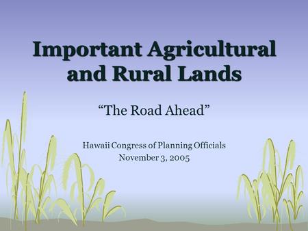 Important Agricultural and Rural Lands “The Road Ahead” Hawaii Congress of Planning Officials November 3, 2005.