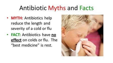 Antibiotic Myths and Facts MYTH: Antibiotics help reduce the length and severity of a cold or flu FACT: Antibiotics have no effect on colds or flu. The.