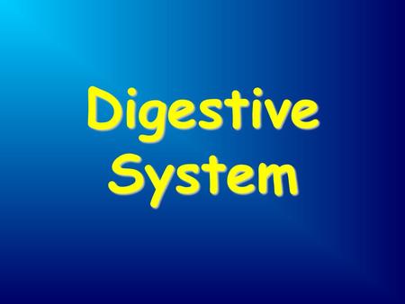 Digestive System.