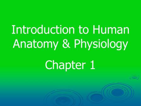 Introduction to Human Anatomy & Physiology Chapter 1.