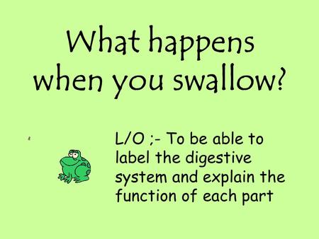 What happens when you swallow? L/O ;- To be able to label the digestive system and explain the function of each part.