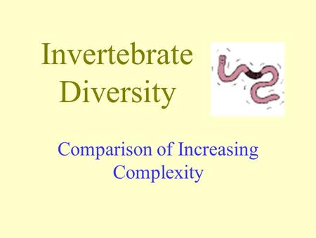 Invertebrate Diversity