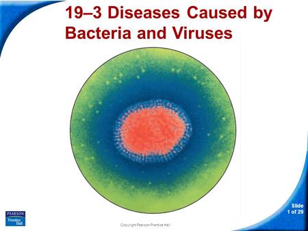 Slide 1 of 29 Copyright Pearson Prentice Hall 19–3 Diseases Caused by Bacteria and Viruses.