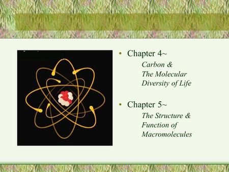 Chapter 4~ Carbon & The Molecular Diversity of Life Chapter 5~ The Structure & Function of Macromolecules.