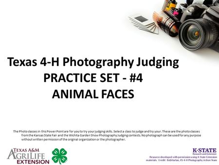 Texas 4-H Photography Judging PRACTICE SET - #4 ANIMAL FACES The Photo classes in this Power Point are for you to try your judging skills. Select a class.