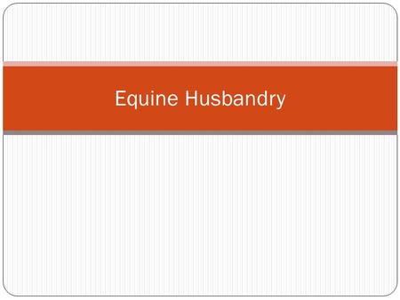 Equine Husbandry. Materials Feed and water Hoof care supplies Bedding Bathing and grooming supplies Environmental Enrichment Devices.