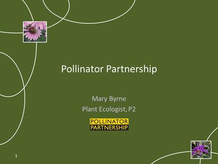 Pollinator Partnership Mary Byrne Plant Ecologist, P2 1.