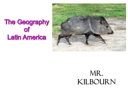 Mr. Kilbourn. This is Latin America. Latin America is NOT a continent. Latin America is NOT a country. Latin America IS a cultural Region. Bahamas.