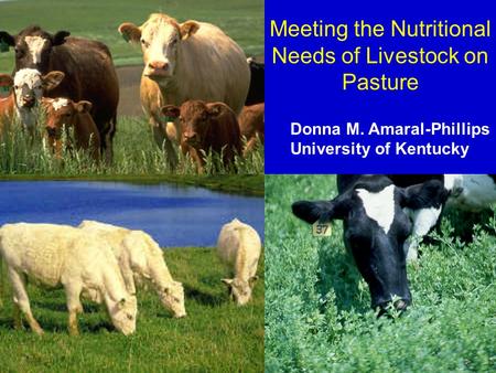 Meeting the Nutritional Needs of Livestock on Pasture Donna M. Amaral-Phillips University of Kentucky.