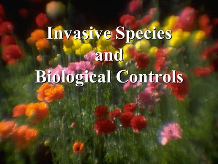 Invasive Species and Biological Controls