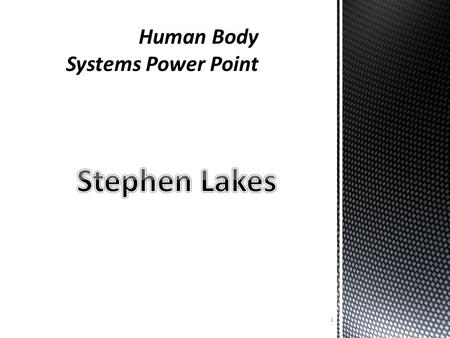 1. 2 FUNCTION (S): Protects and supports body organs; provides a framework the muscles can use to cause movement; stores minerals. KEY STRUCTURES: Bones.