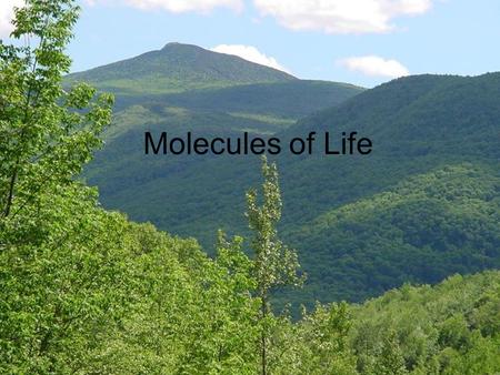 Molecules of Life. Chemistry, I thought this was biology? Electrolytes Fertilizer Soil pH Acid Rain Blood pH Hormones.