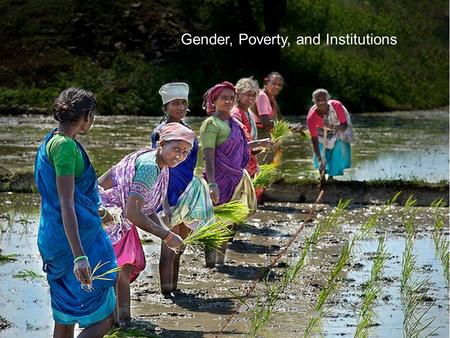 Core theme: gender, poverty and institutions Photo: Ian Taylor/CPWF Mekong Gender, Poverty, and Institutions.