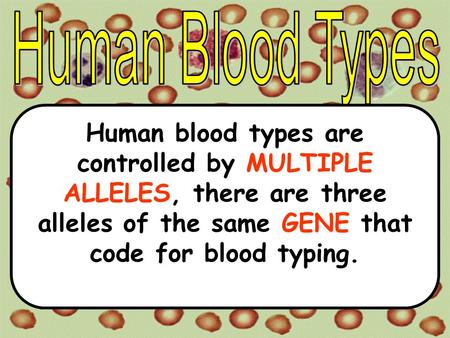 Human Blood Types Human blood types are controlled by MULTIPLE ALLELES, there are three alleles of the same GENE that code for blood typing.