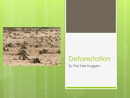 Deforestation By The Tree Huggers. Facts on Forests  30% of the Earth’s land area is covered by forests.  A tree exhales 6,000 pounds of oxygen in its.