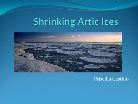 Priscilla Castillo. What Are Artic ices? An Artic Ice is a boulder of ice, in other terms a glacier. A majority of the Artic ice is underwater. Keeping.