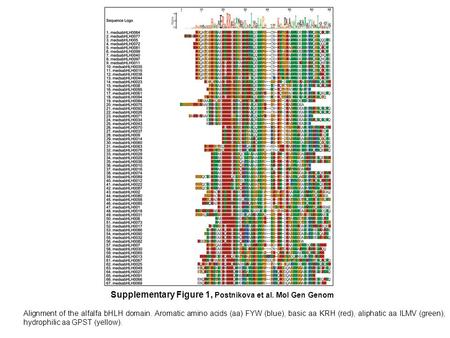 Supplementary Figure 1, Postnikova et al. Mol Gen Genom Alignment of the alfalfa bHLH domain. Aromatic amino acids (aa) FYW (blue), basic aa KRH (red),