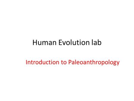 Introduction to Paleoanthropology