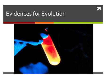 Evidences for Evolution