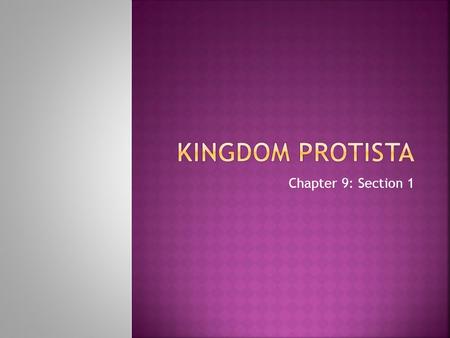 Chapter 9: Section 1.  Protist- An organism that lives in a moist or wet habitat  Contains organisms that don’t fit anywhere else!  ALL PROTISTS 