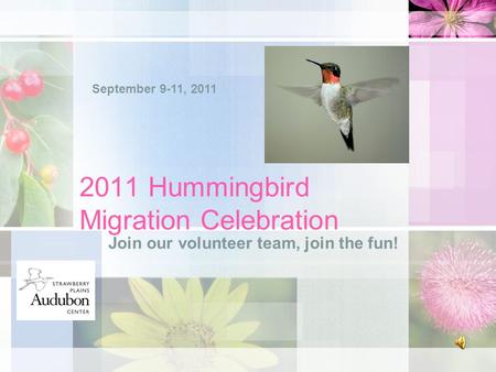 2011 Hummingbird Migration Celebration Join our volunteer team, join the fun! September 9-11, 2011.