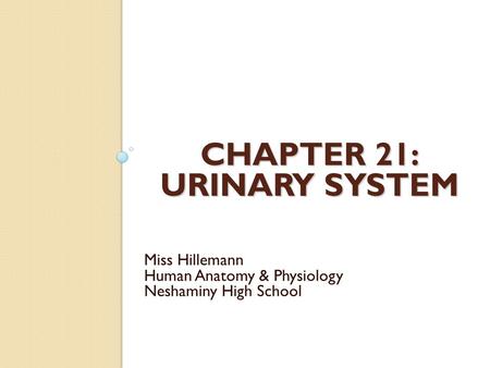 CHAPTER 21: URINARY SYSTEM Miss Hillemann Human Anatomy & Physiology Neshaminy High School.