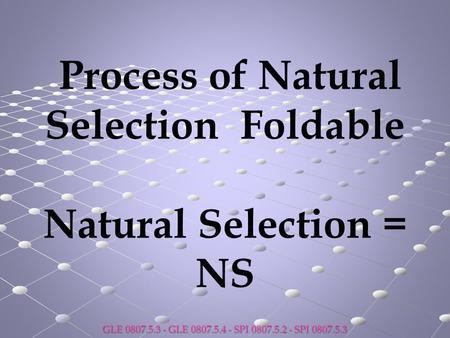 Process of Natural Selection Foldable Natural Selection = NS GLE 0807.5.3 - GLE 0807.5.4 - SPI 0807.5.2 - SPI 0807.5.3.