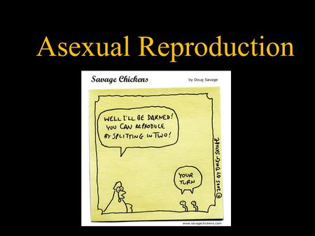 Asexual Reproduction.