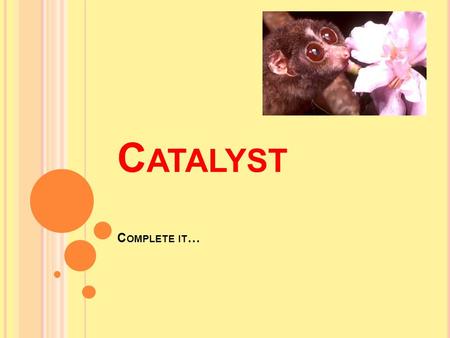 C ATALYST C OMPLETE IT … SBWAT define asexual reproduction SBWAT define sexual reproduction SBWAT differentiate between asexual and sexual reproduction.