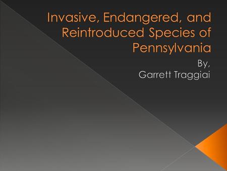  Endangered specie is a species whose population is so low that the species is at risk of going extinct.  5 of the most common reasons for endangerment.