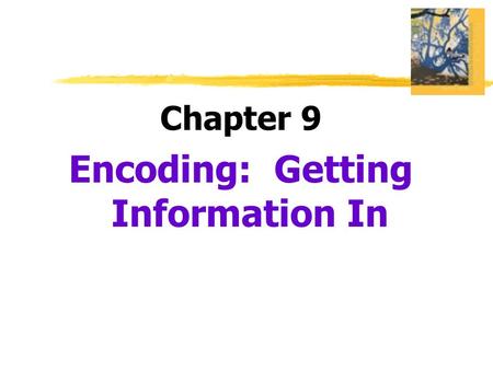 Chapter 9 Encoding: Getting Information In. Encoding EffortfulAutomatic.