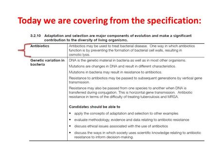 Today we are covering from the specification: