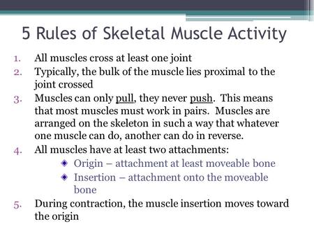 5 Rules of Skeletal Muscle Activity 1.All muscles cross at least one joint 2.Typically, the bulk of the muscle lies proximal to the joint crossed 3.Muscles.