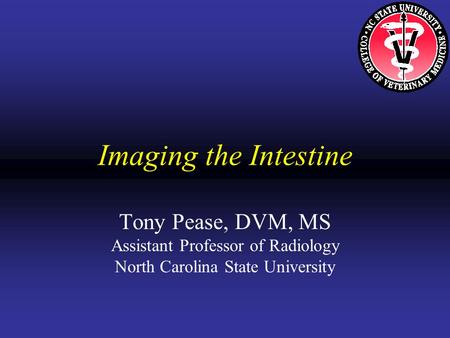 Imaging the Intestine Tony Pease, DVM, MS