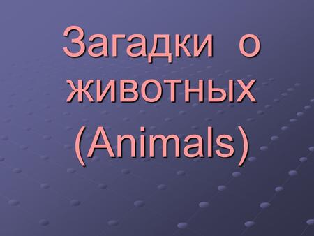 Загадки о животных (Animals). My name is Jack. I'm very big. My name is Jack. I'm very big. I am white. I have four legs. I am white. I have four legs.