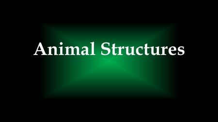 Animal Structures. How might animal structures change depending on their environment and energy needs?