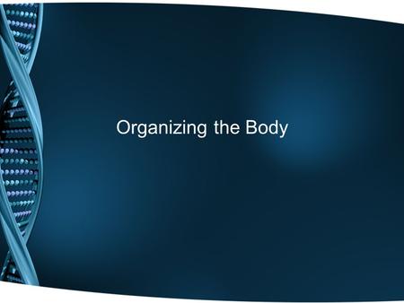 Organizing the Body. Anatomy The scientific study of structures and the relationship of structures to each other. FORM, shape, structure, and appearance.