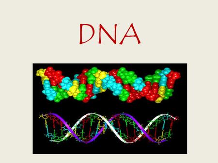 DNA.