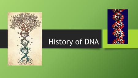 History of DNA Scientific history The journey to understanding that DNA is our genetic material T.H. Morgan (1908) Frederick Griffith (1928) Avery, McCarty,