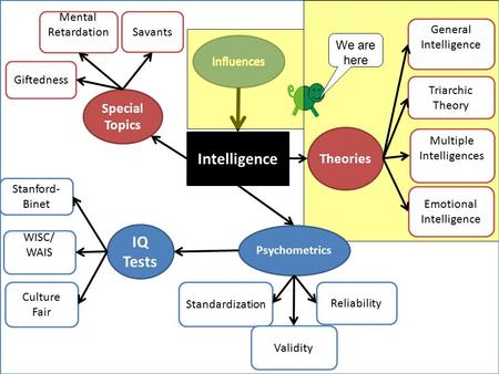 We are here IQ Tests Theories Psychometrics Special Topics Intelligence Mental Retardation Giftedness Savants Multiple Intelligences Triarchic Theory General.