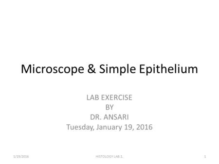 Microscope & Simple Epithelium