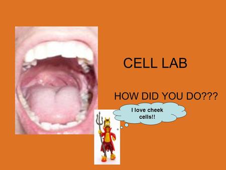 CELL LAB HOW DID YOU DO??? I love cheek cells!!.